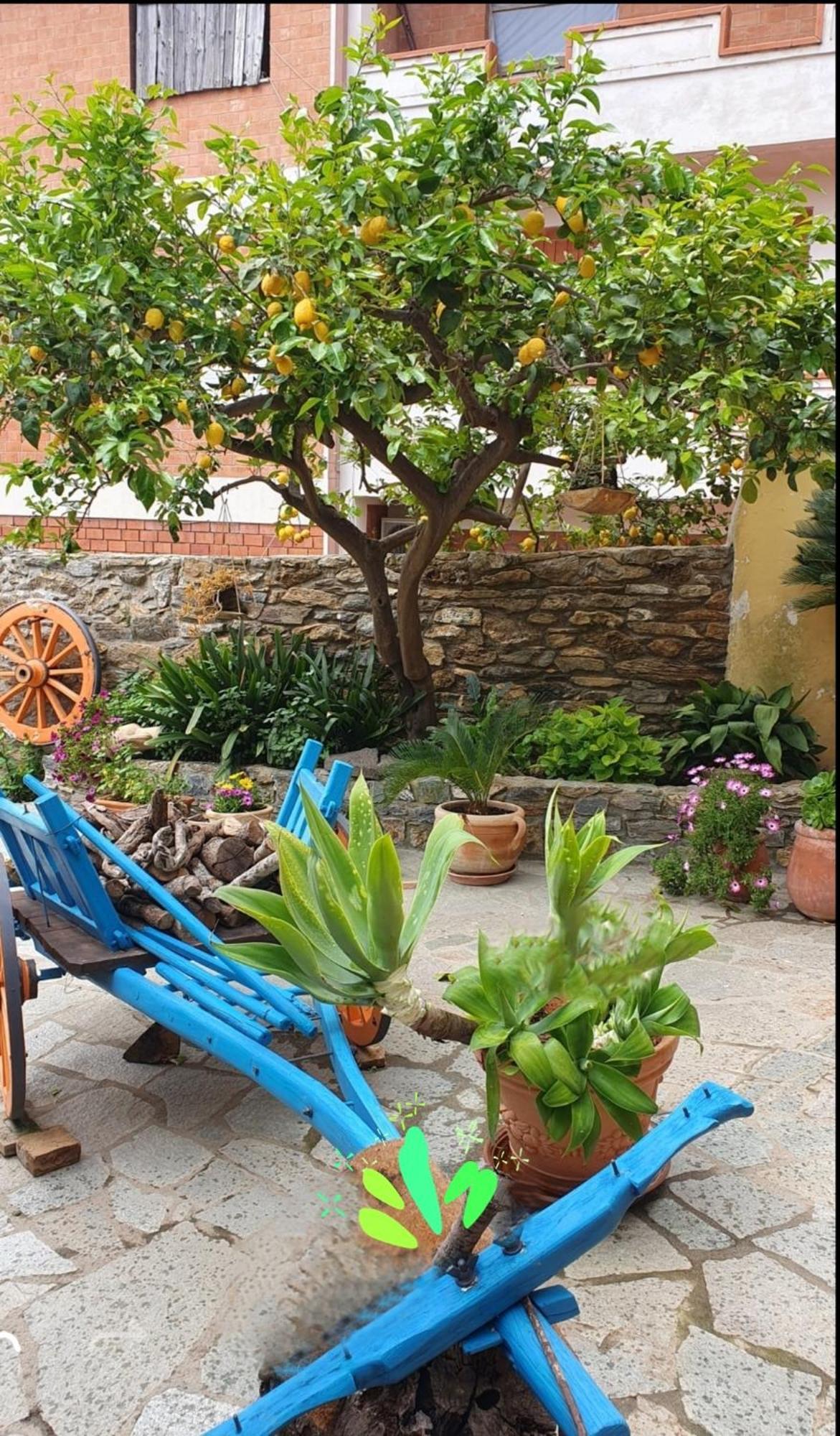 Su Carreri Bed & Breakfast Armungia Exterior foto