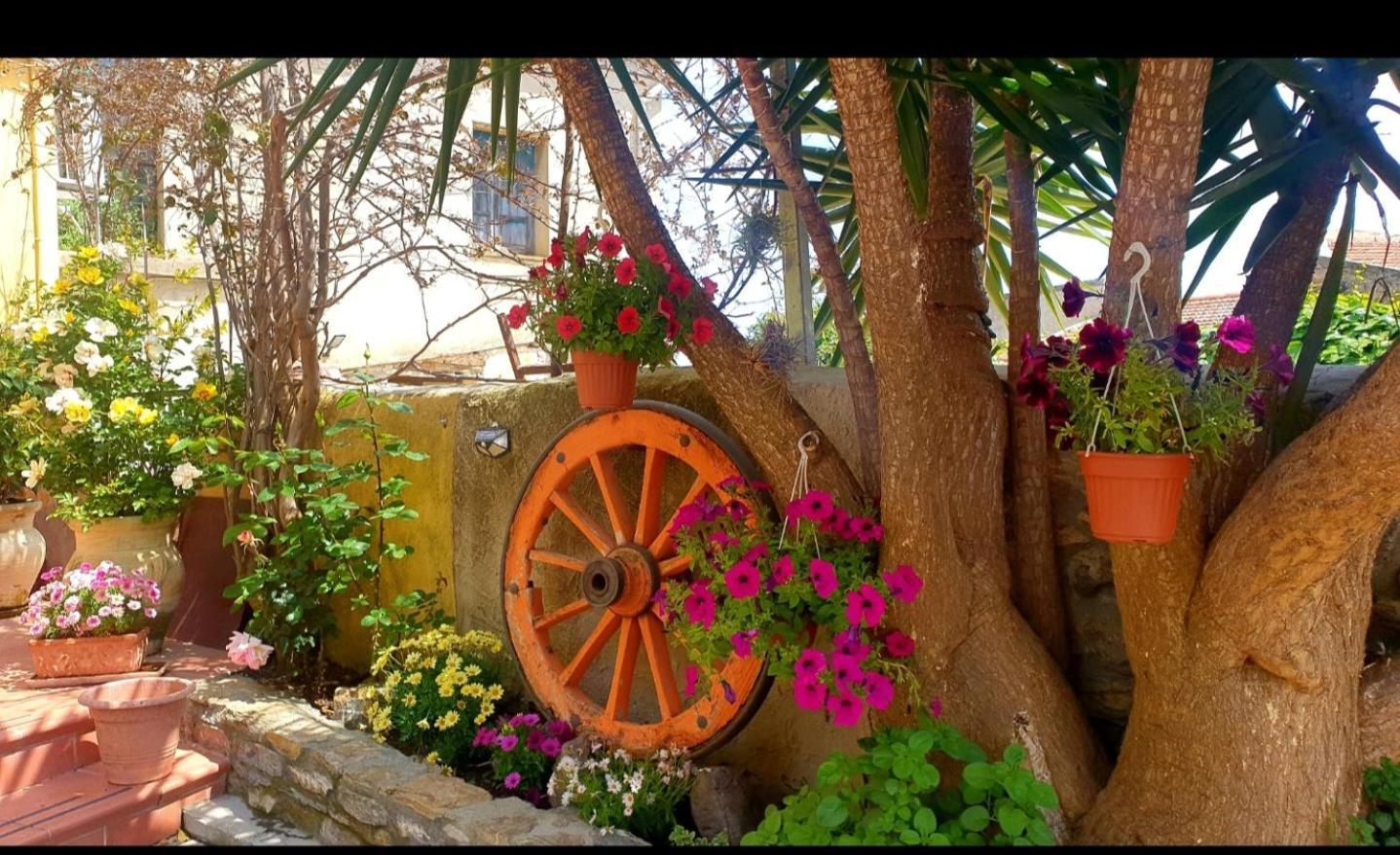 Su Carreri Bed & Breakfast Armungia Exterior foto